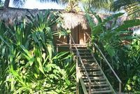 Bungalow of the Hotel CABARETE SURFCAMP - Cabarete - Dominican Republic